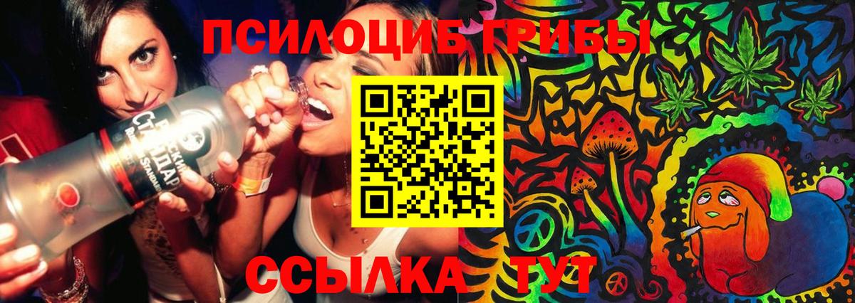 Галлюциногенные грибы прущие грибы  Вход с VPN  Галлюциногенные грибы Psilocybe  Белореченск 