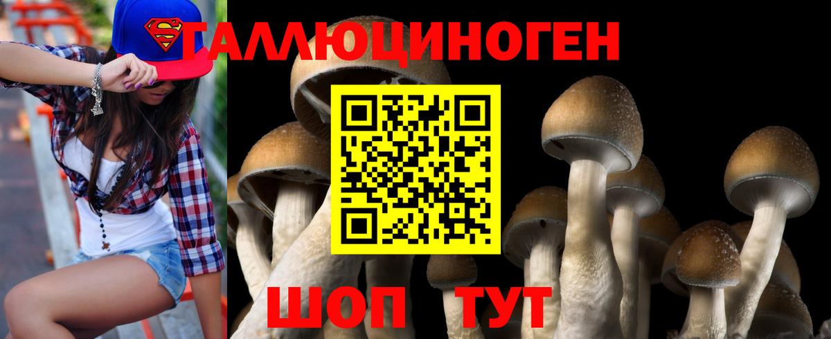 Псилоцибиновые грибы Cubensis Белореченск